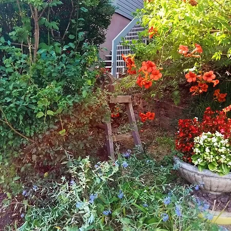 Prázdninový dům La Maisonnette En Bois *