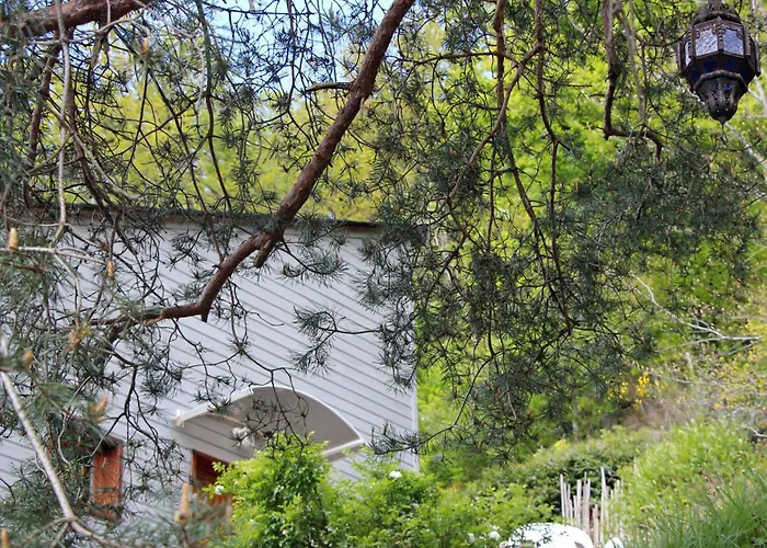 בית נופש La Maisonnette En Bois *