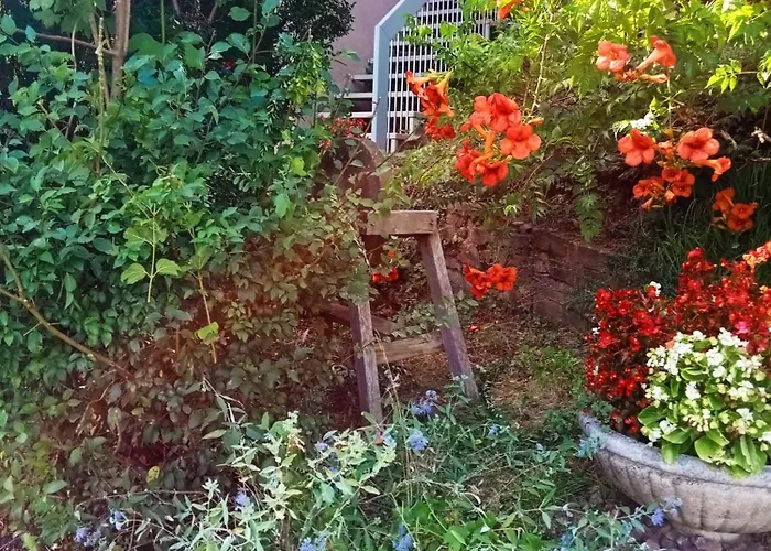 בית נופש La Maisonnette En Bois *