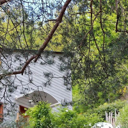Hébergement de vacances La Maisonnette En Bois *