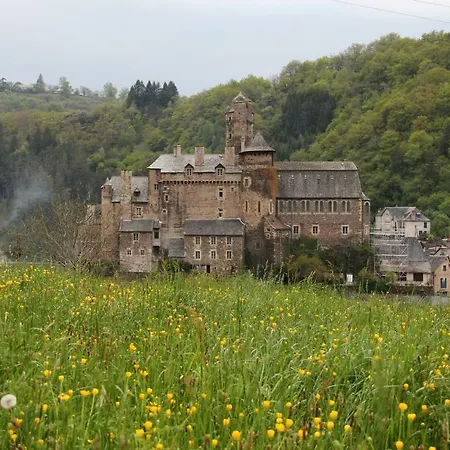 Holiday home La Maisonnette En Bois Estaing (Aveyron)