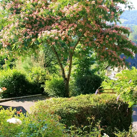 Hébergement de vacances La Maisonnette En Bois Estaing (Aveyron)