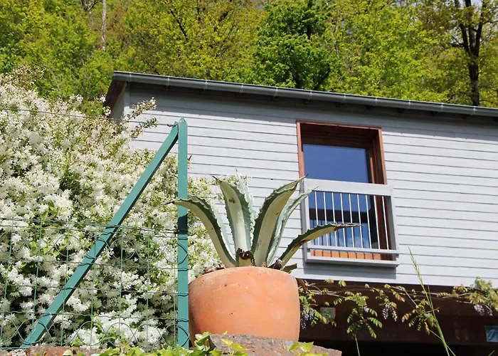 La Maisonnette En Bois Estaing (Aveyron)