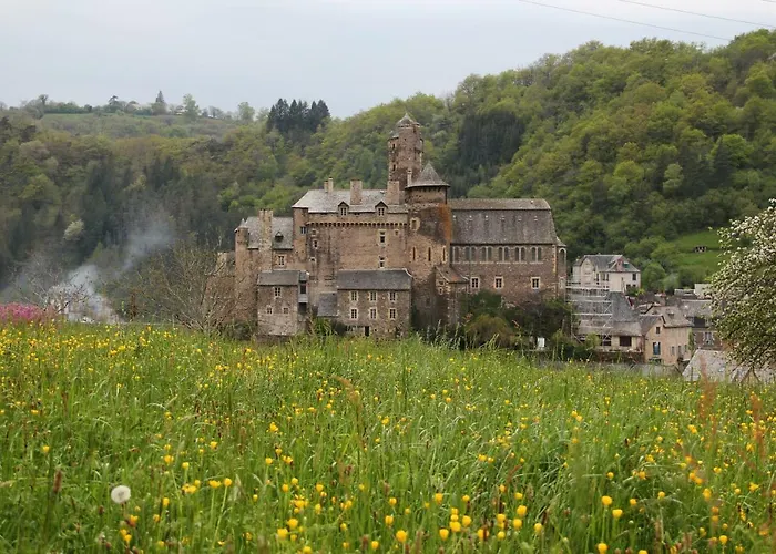 Feriehus La Maisonnette En Bois Estaing (Aveyron)