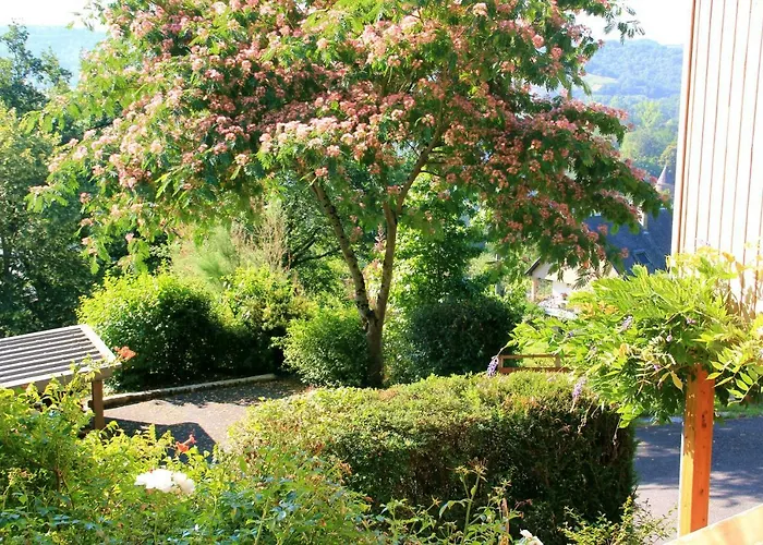 Feriehus La Maisonnette En Bois Estaing (Aveyron)